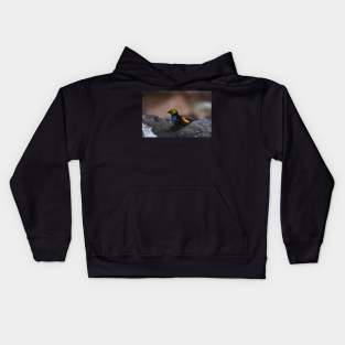 Colorful Bird Kids Hoodie